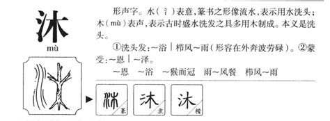 沐字五行|沐字的五行属什么